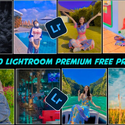 Free Download Preset And Enjoy With Photo Editing.