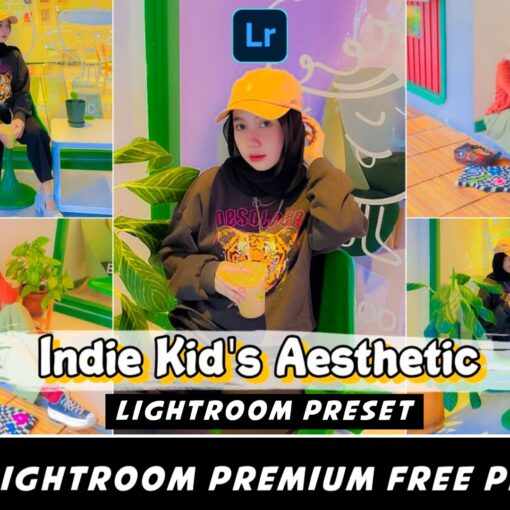 Indie Kids Aesthetic Lightroom free Preset